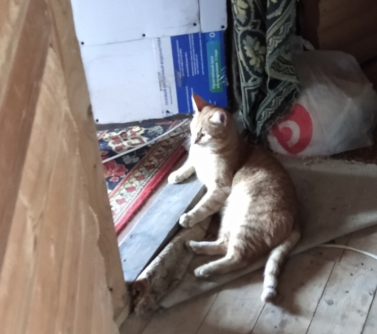 Личное фото