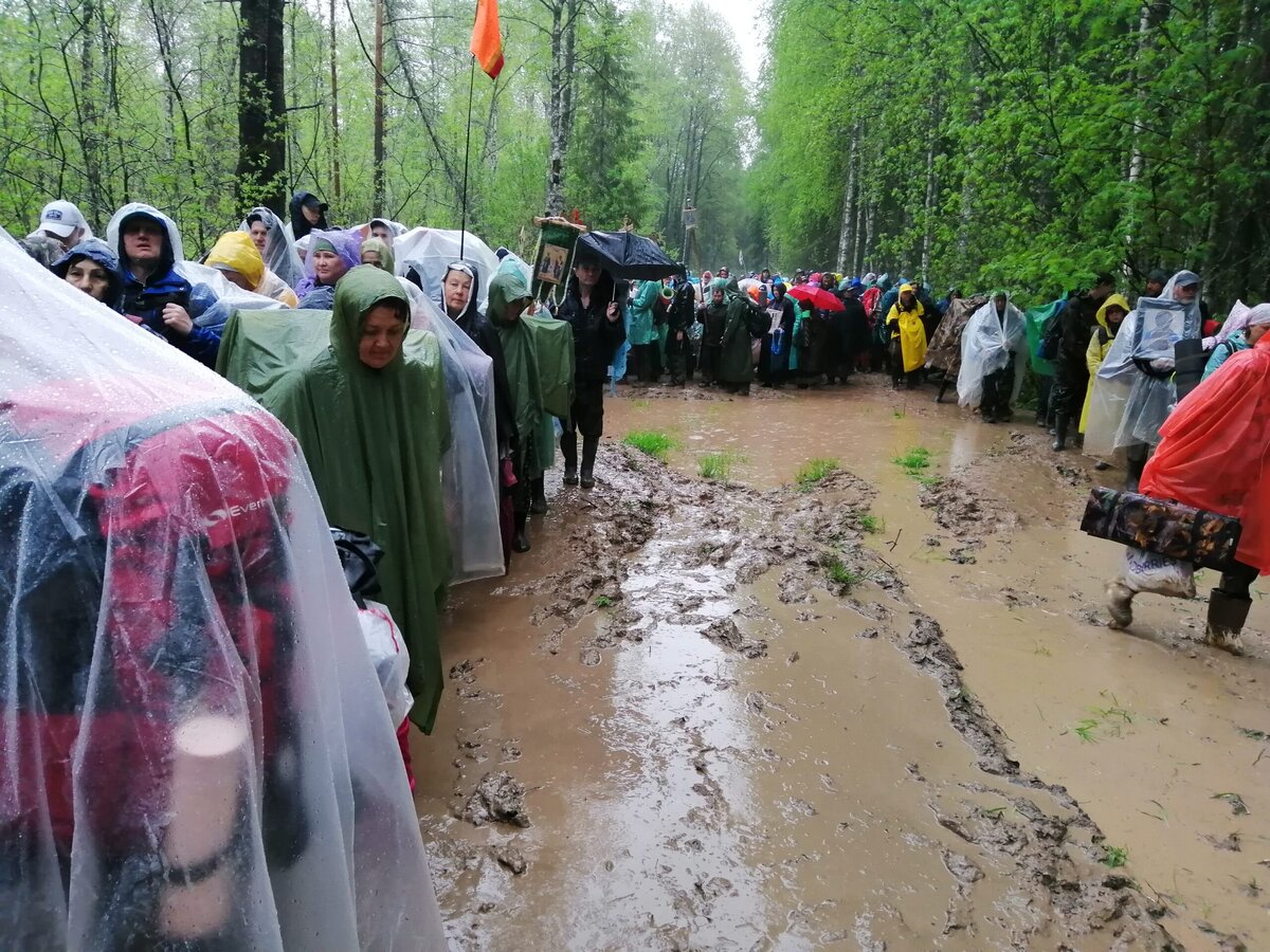 Фото взяты из открытых источников.