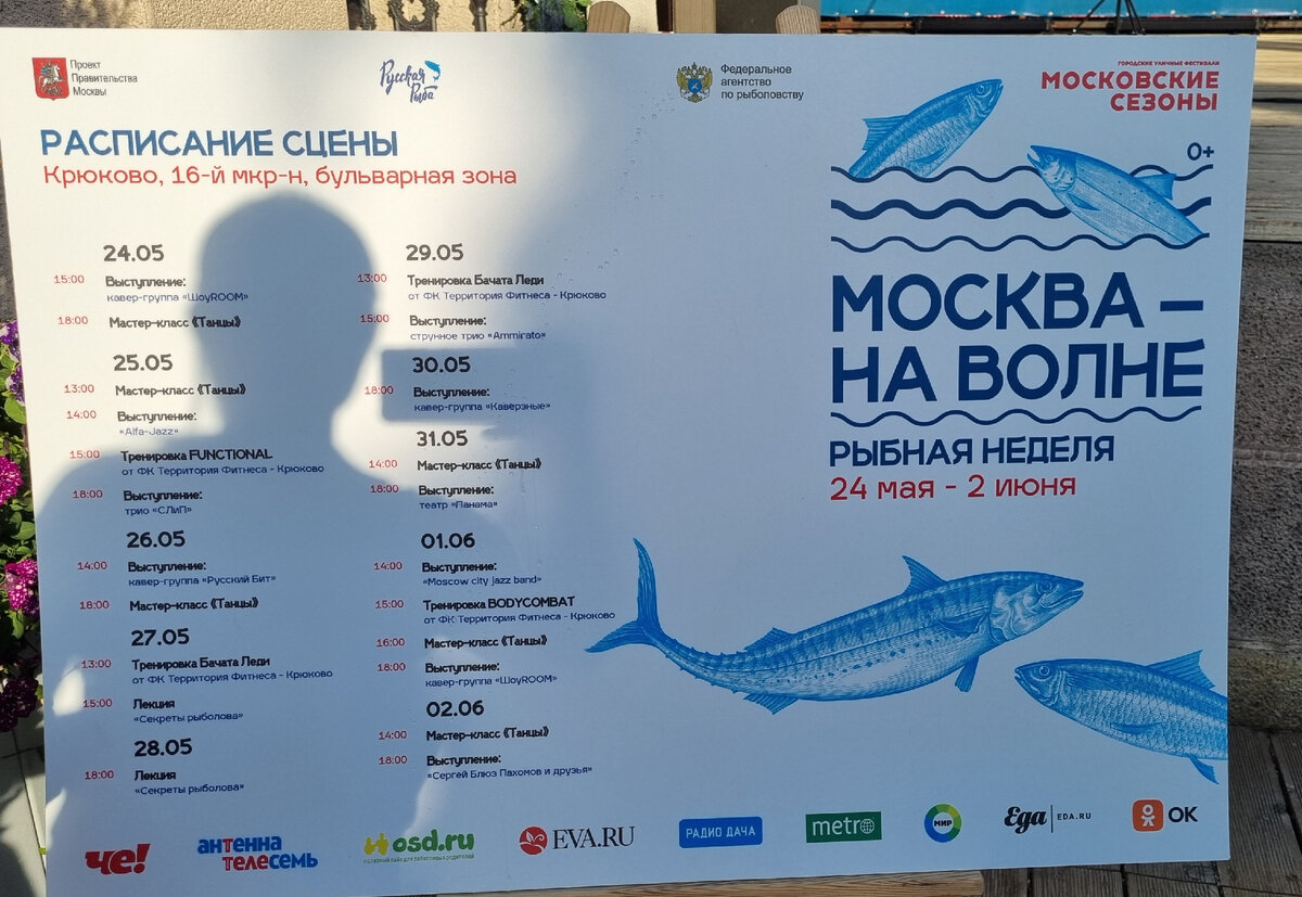 Выступления групп, мастер-классы по танцам