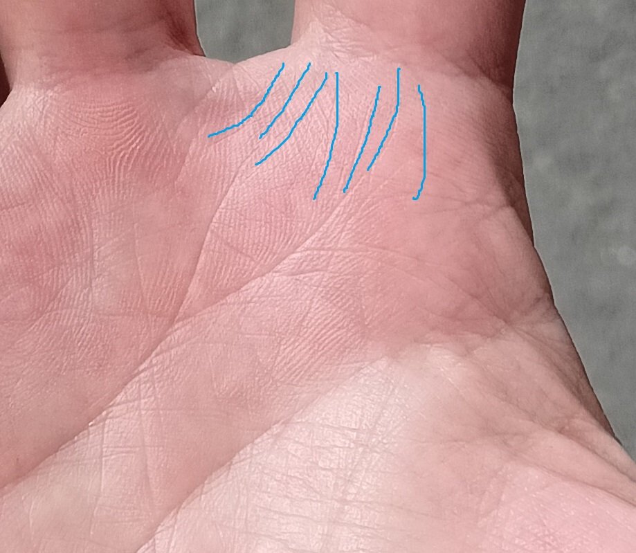 Линии образования