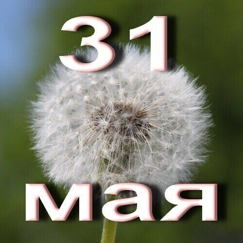 Картинка из интернета