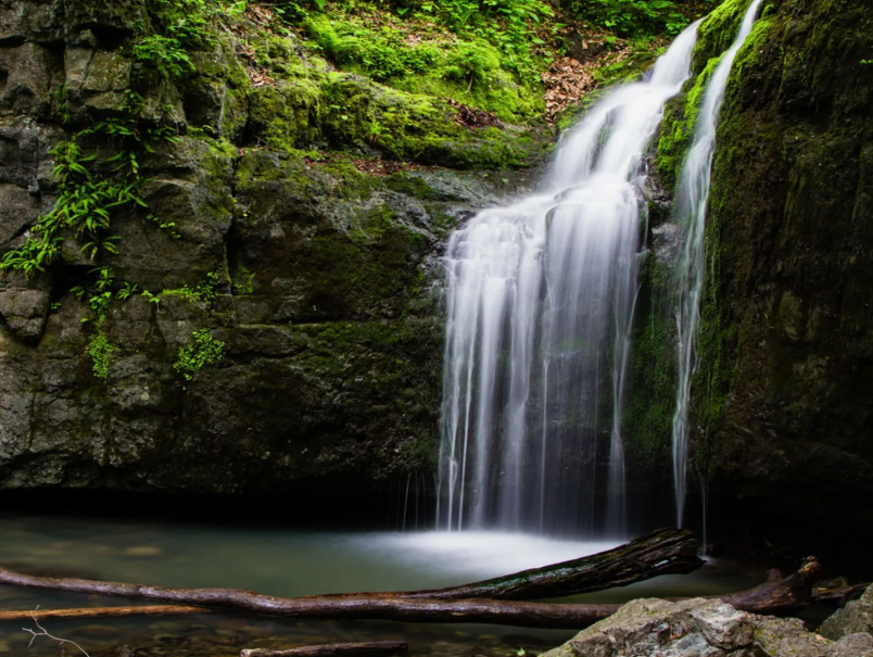 Из Яндекс картинок