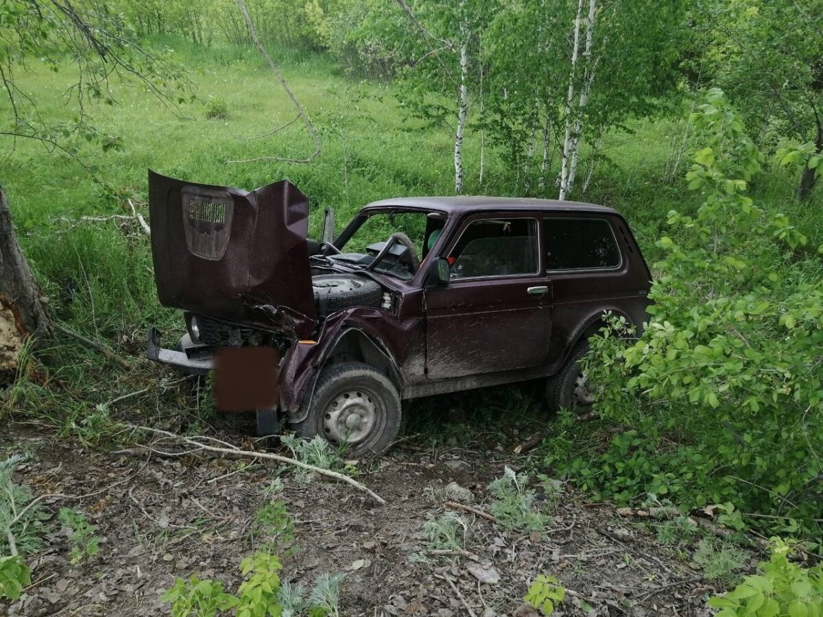 Пожилой водитель ВАЗа погиб в ДТП с деревом в Челябинской области |  Cheltoday.ru | Дзен