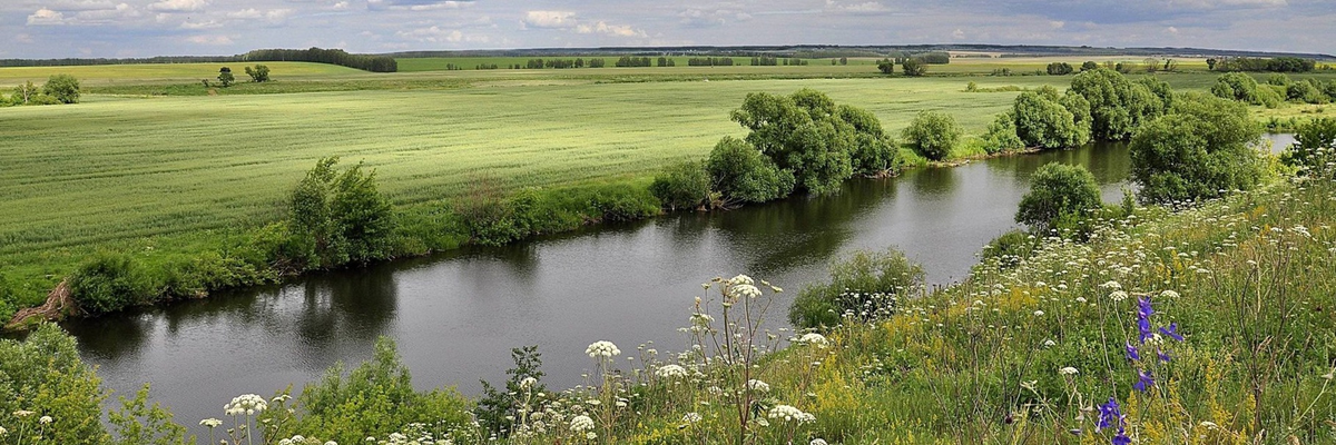 яндекс картинки