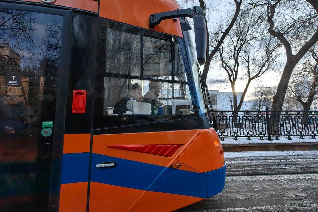    Фото: читатель © ИА «Уральский меридиан» Дмитрий Зайцев