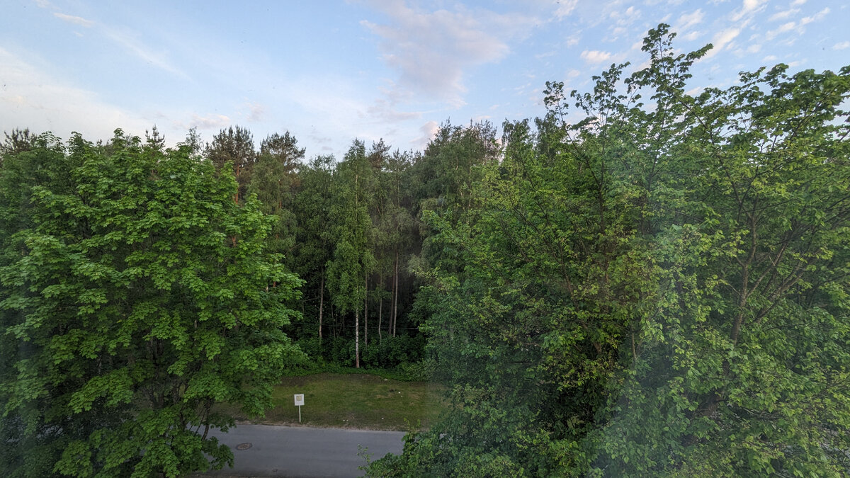 Вид из моего окна