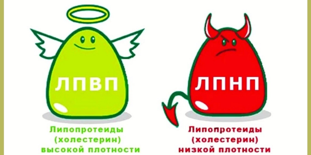 "Плохой" холестерин: как да что и, конечно, о питании, способном на него влиять