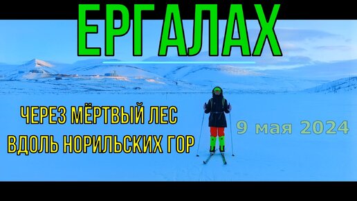 Ергалах | ПВД Через мёртвый лес вдоль Норильских гор | 9.05.2024