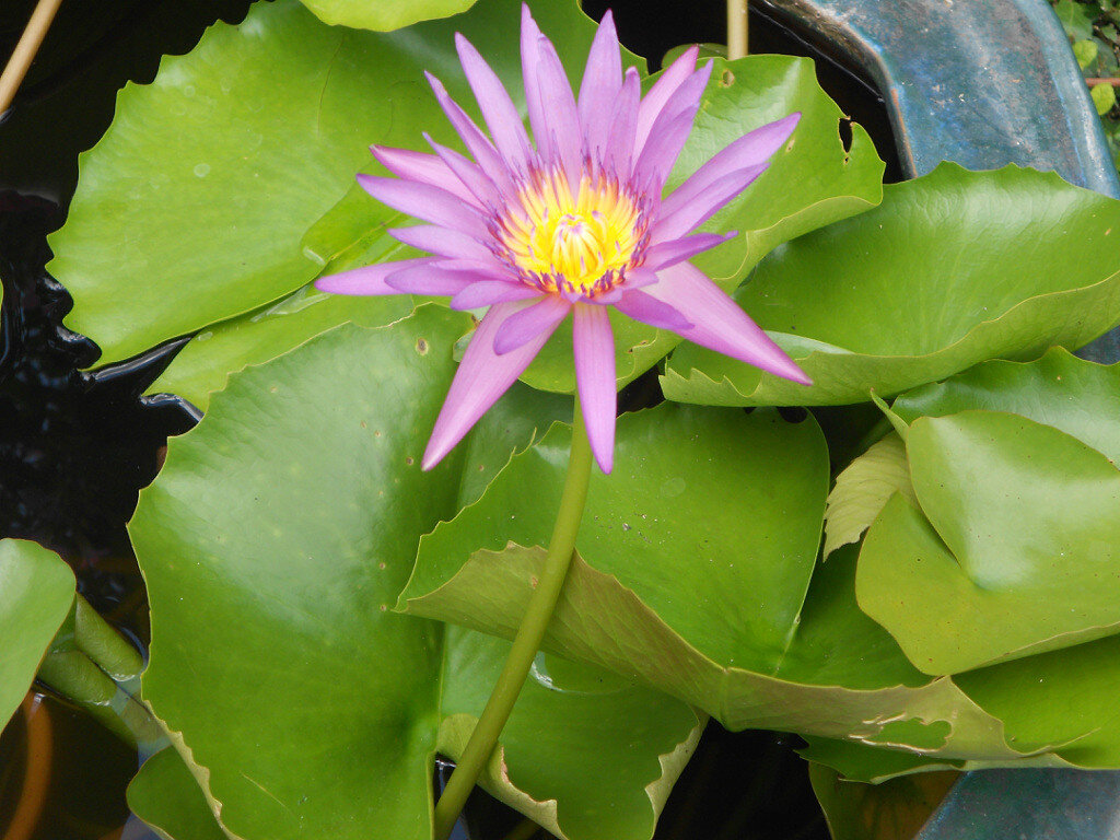 фото из личного архива