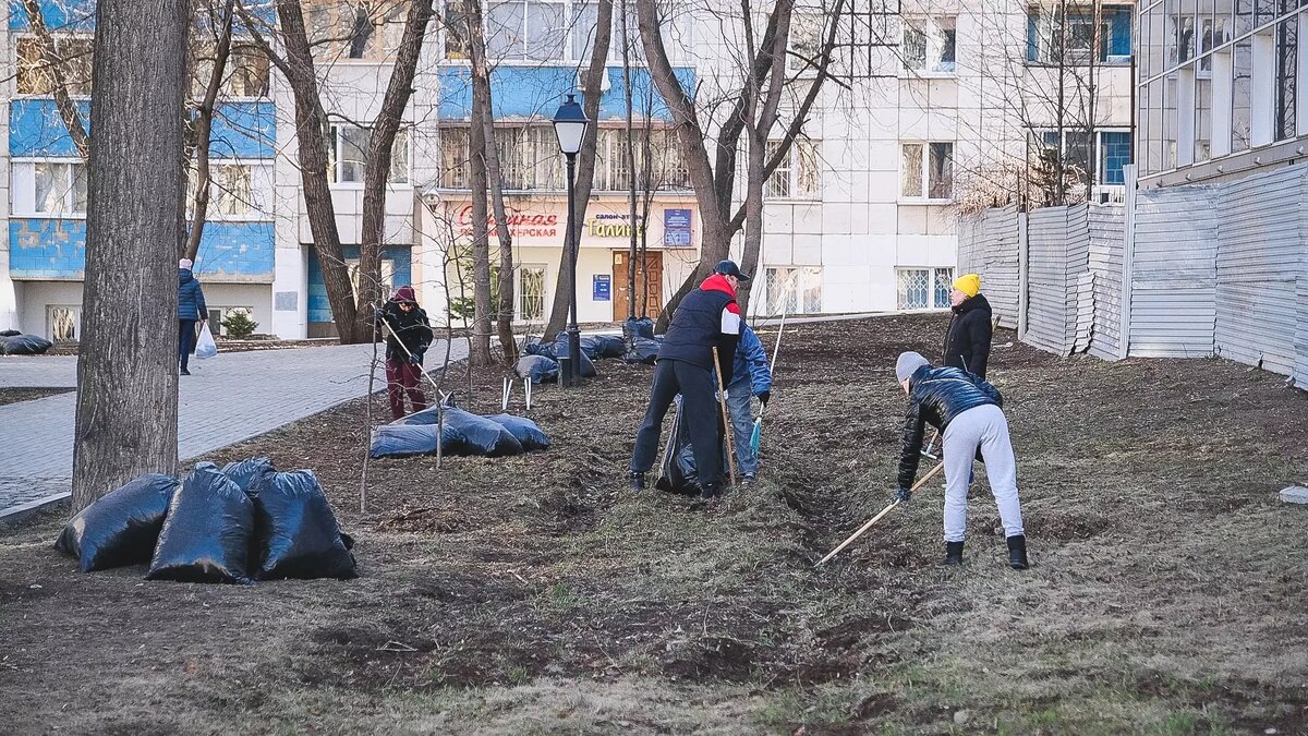 Это субботник? Власти предлагают нижегородцам убирать улицы во время работы  | newsnn.ru | Дзен