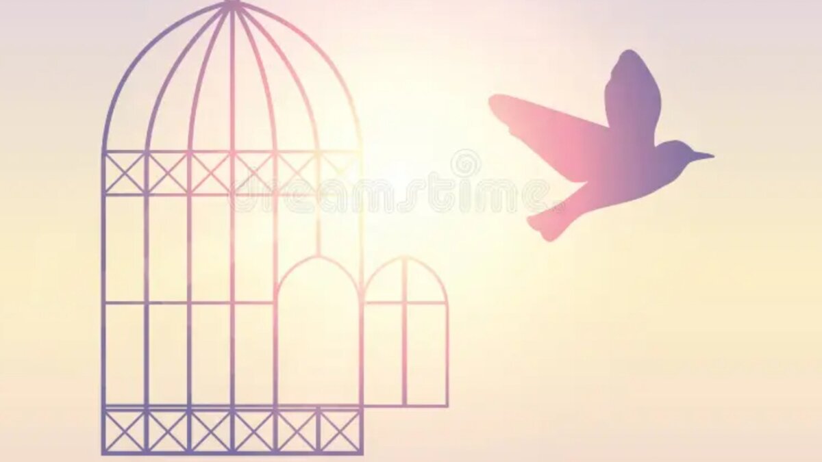 Фото из интернета.