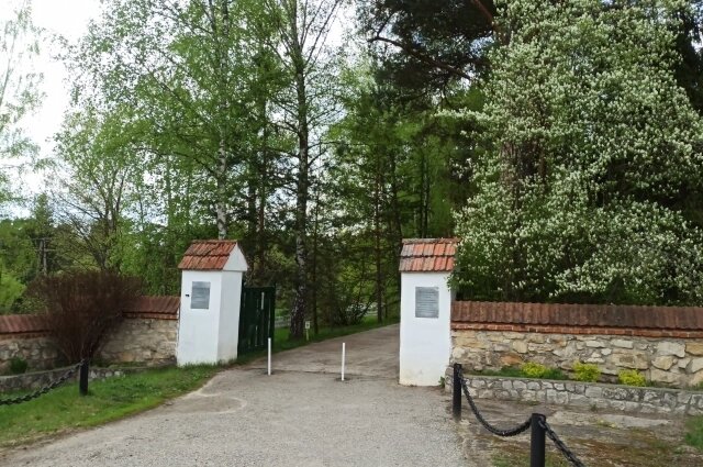    Фото: Из личного архивa/ Алла Ланг