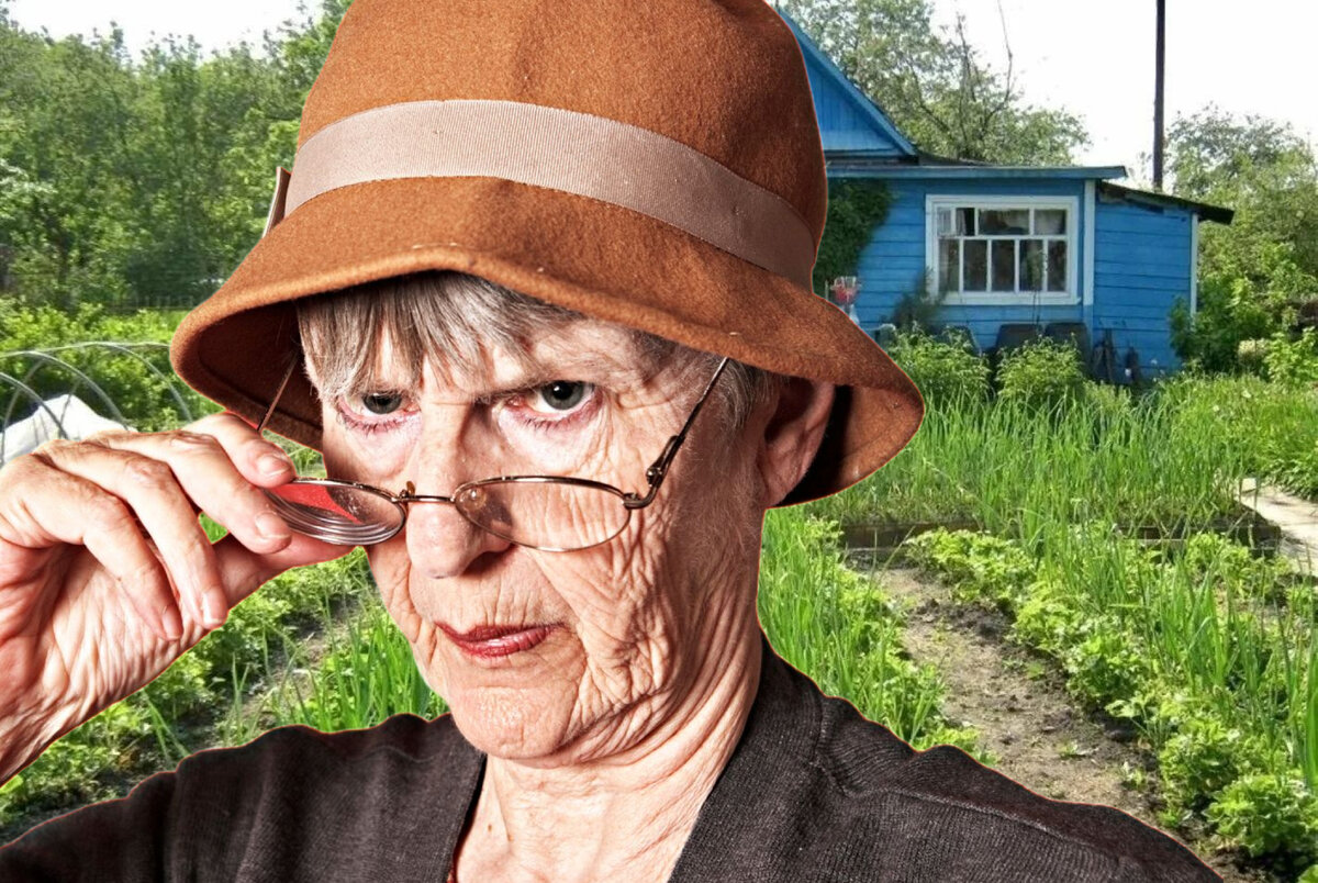 Вы не по назначению используете дачу. Бывшая хозяйка оказалась "невменяемой".