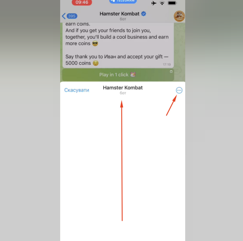 Обнулили аккаунт Hamster Kombat, что делать? 