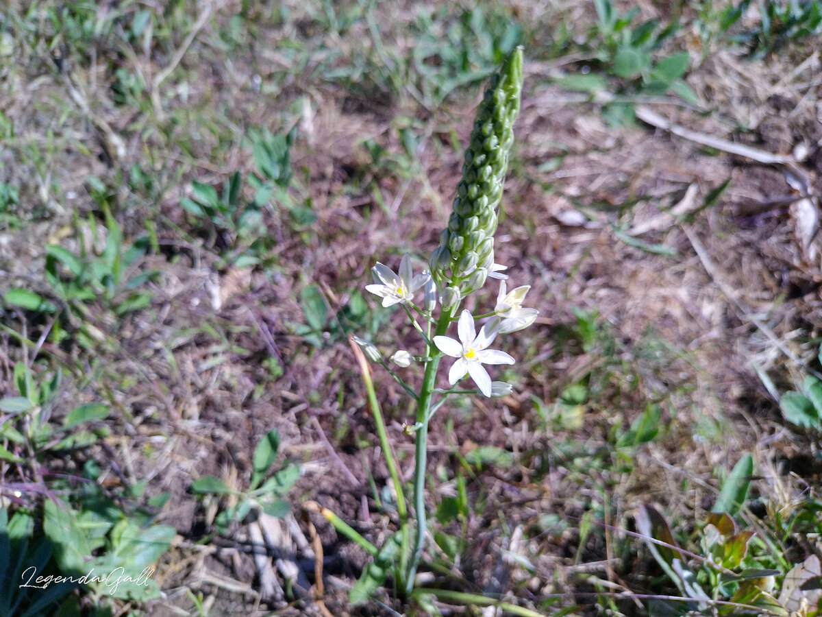 Что-то очень миленькое... 