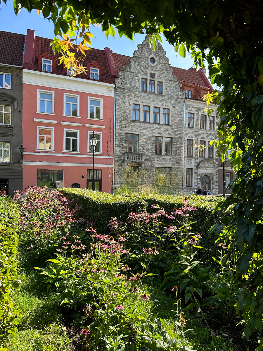 В центре Таллинна