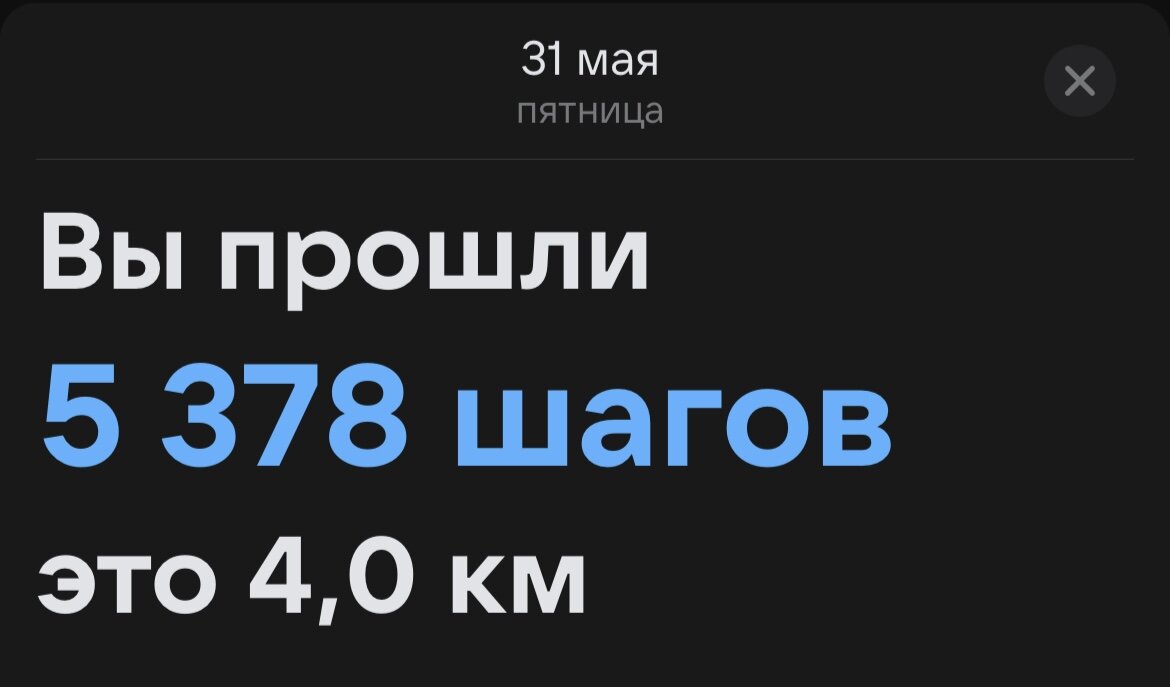 Наконец-то эта рабочая неделя закончилась //30.05-31.05.2024 | Деньги,  котики, Москва🩷 | Дзен