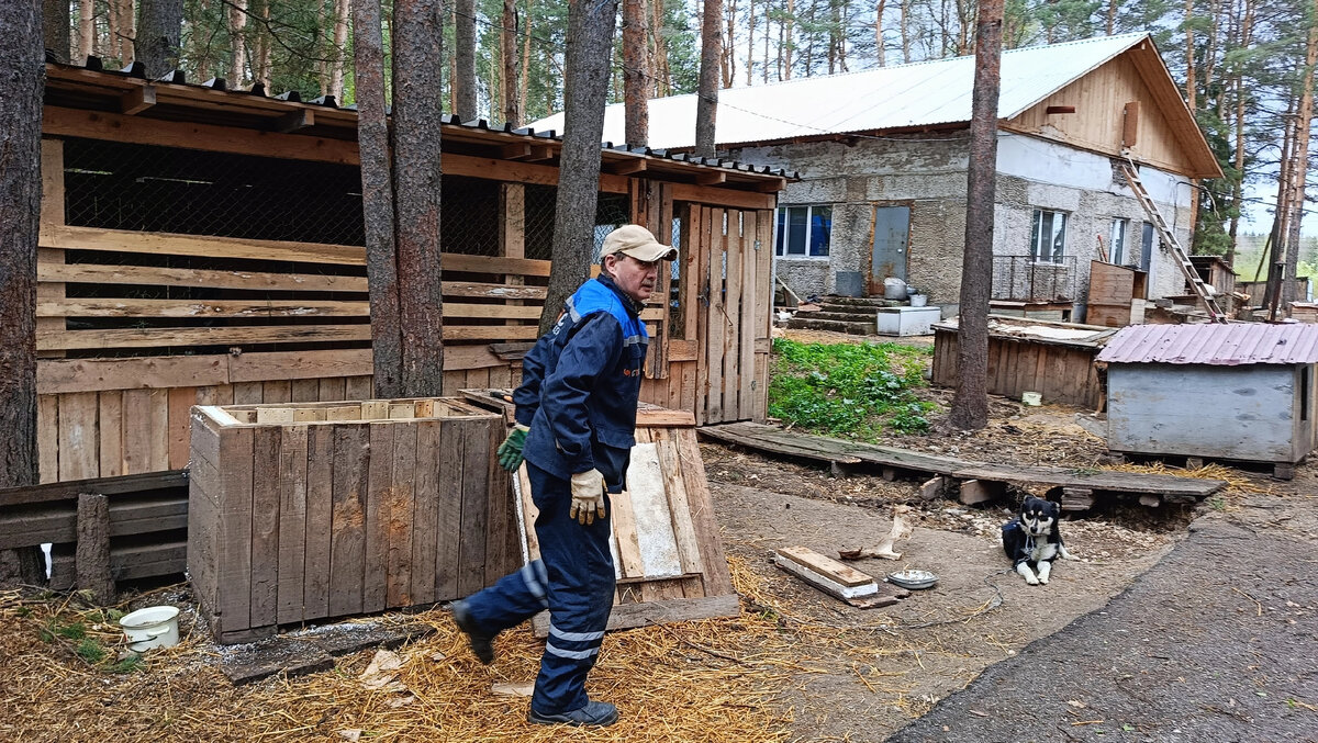 Мужская помощь в приюте очень нужна!