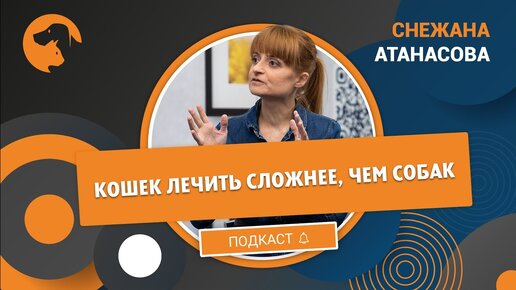 Снежана Атанасова: «Кошек лечить сложнее, чем собак»