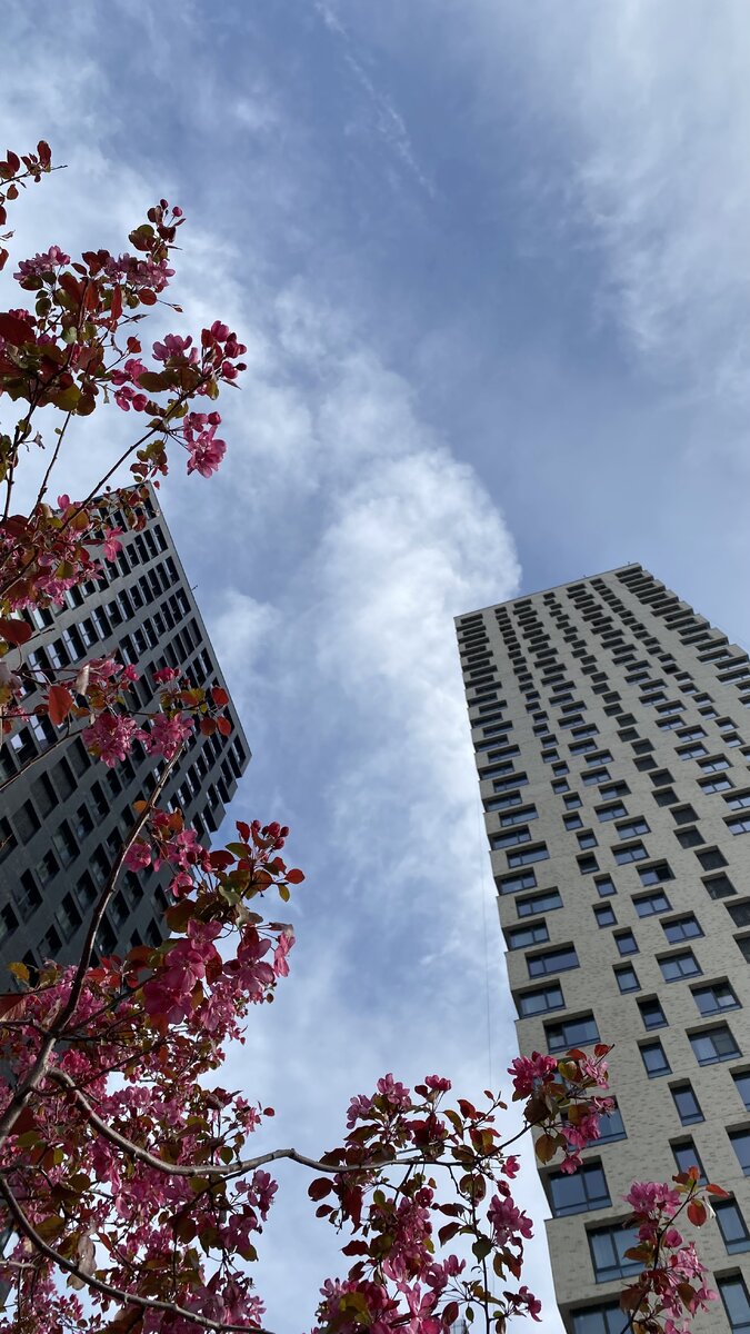 Фото из архива автора