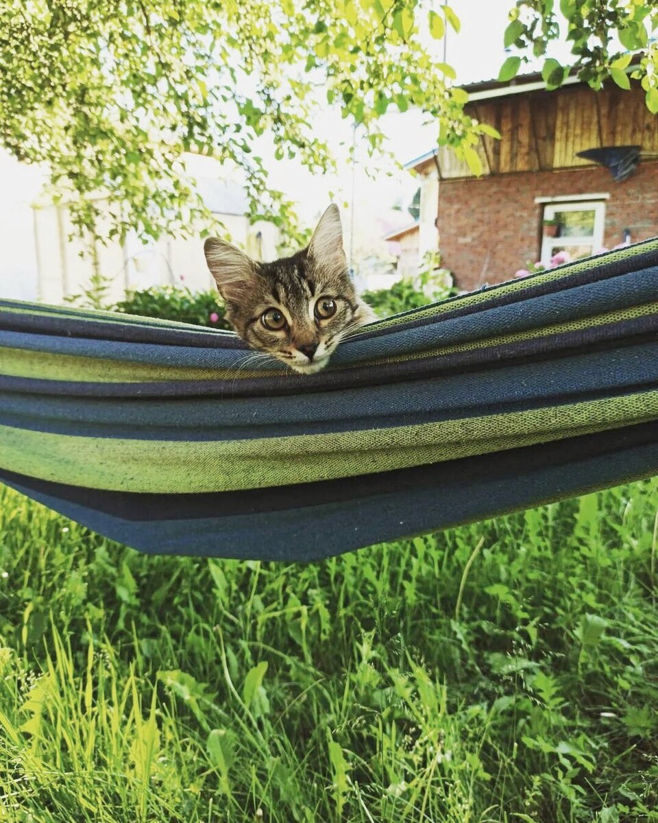 Источник: Яндекс картинки