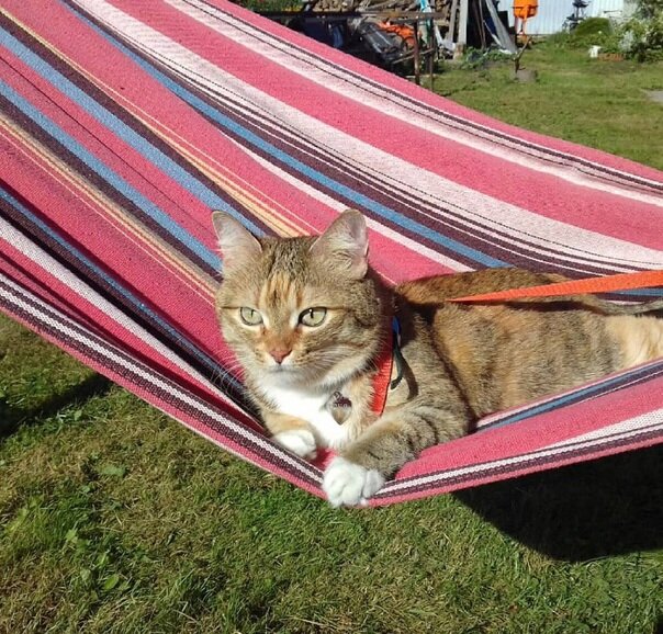 Источник: Яндекс картинки