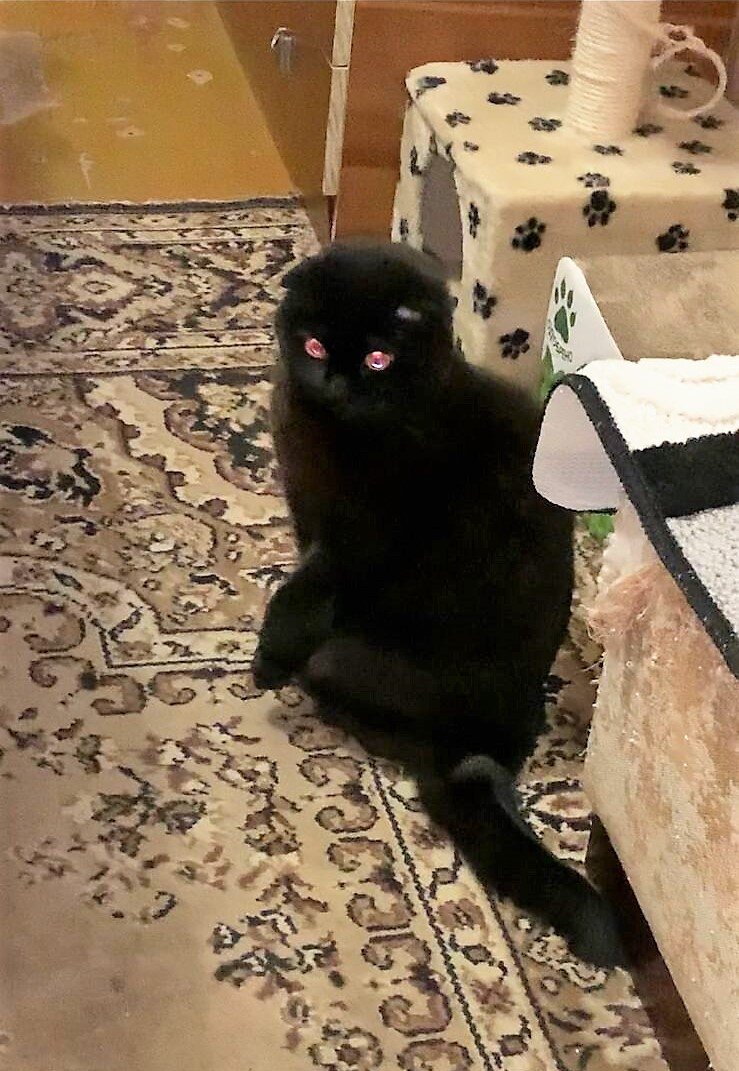 Благодарю за фото Марину АБРОЧНОВУ)