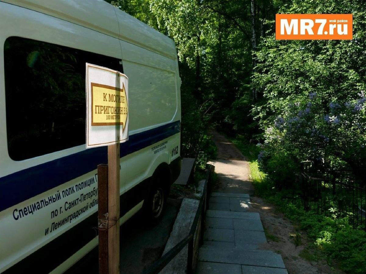 Фото: Павел Даиси / MR7
