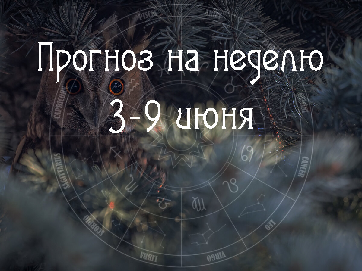 Тренды 3 – 9 июня, астропрогноз – планируем дела на предстоящую неделю |  Влечёт астрология | Дзен