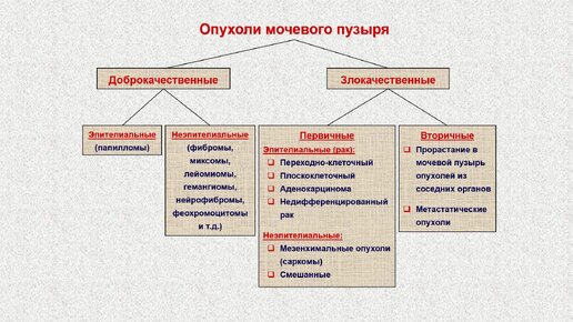 Ультразвуковая диагностика (УЗИ). Доктор Иогансен. Выпуск 104. Опухоли мочевого пузыря. Часть 2.