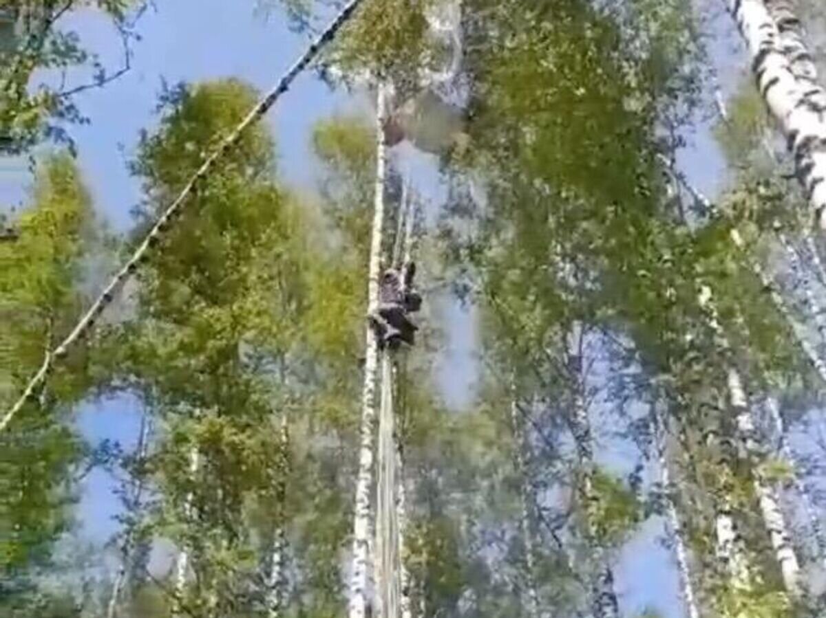    Девушка-парашютистка, которая неудачно приземлилась в деревне Головино Томской области© Спасатели Томска ОГБУ"ТО ПСС"/Telegram