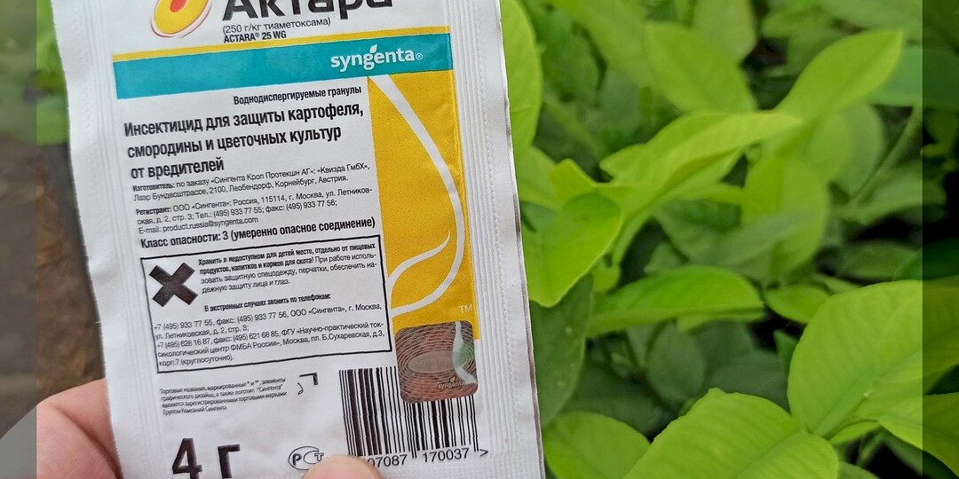 Чем опасна «Актара»: как правильно применять «Актару» для борьбы с вредителями на разных культурах