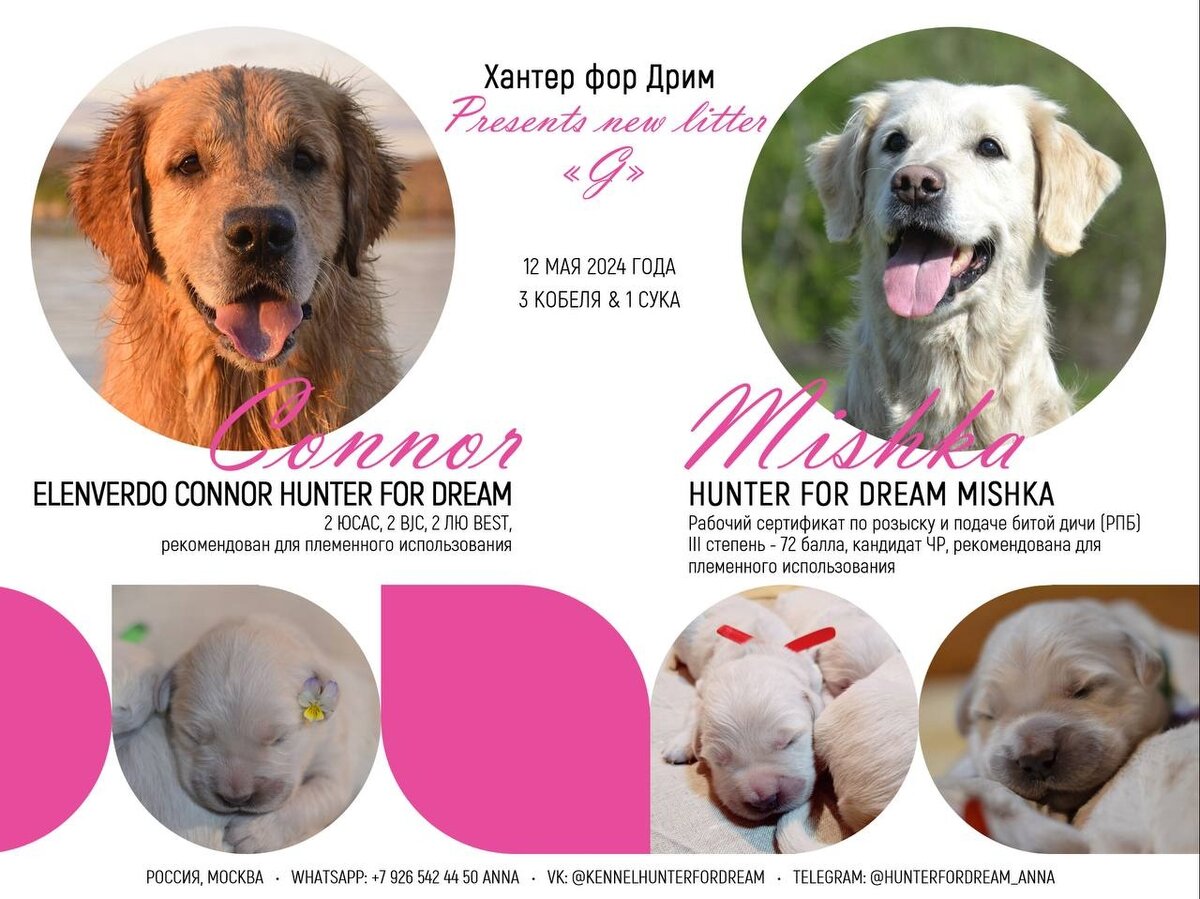 Родители Щенков. Литера "Г"