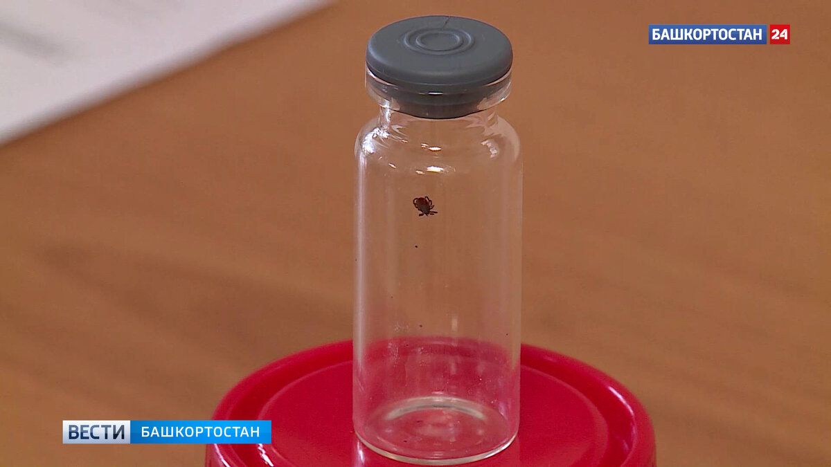    В Башкирии с начала сезона около 4 тысяч человек пострадали от укусов клещей