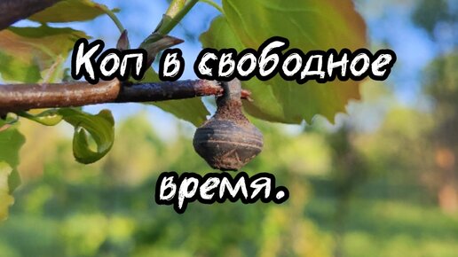 Коп в свободное время. Май 2024.