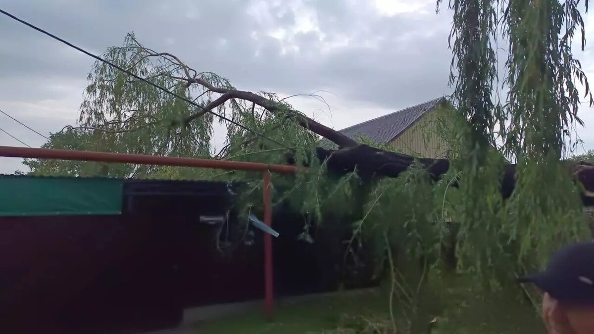     Источник: t.me/glava_predgorya