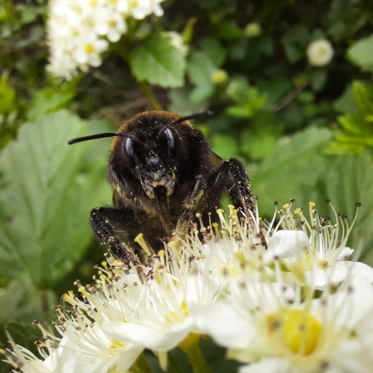Лето - это маленькая жизнь!