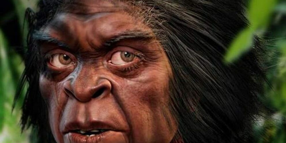 Одна из реконструкций Человека лусонского