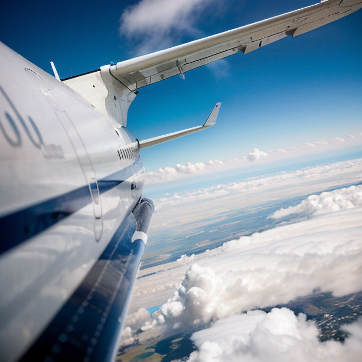 Рисунок сделан с помощью нейросети