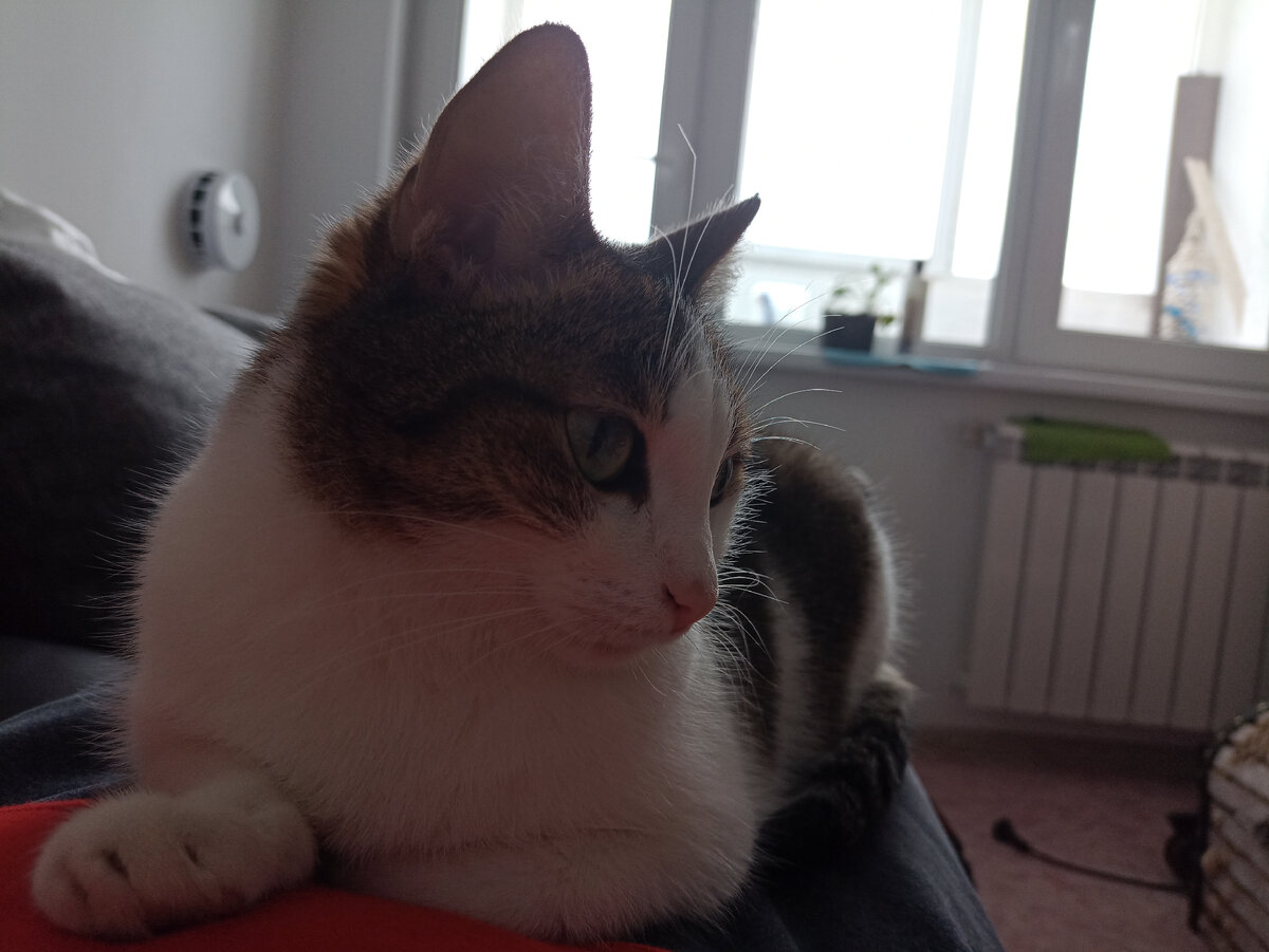 Маша Дятлова предупреждает!!! 