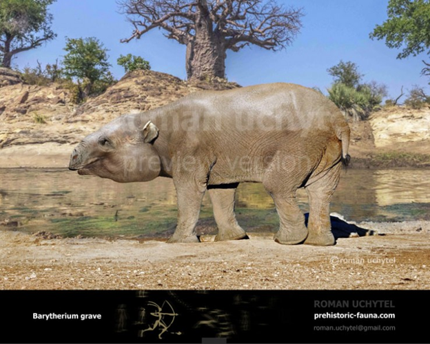 Когда не знаешь кем стать, слоном, или бегемотом.