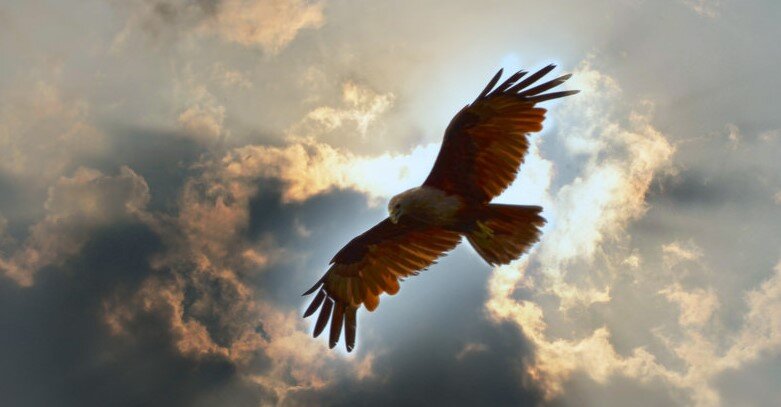 Ну, всё. сейчас ливанёт