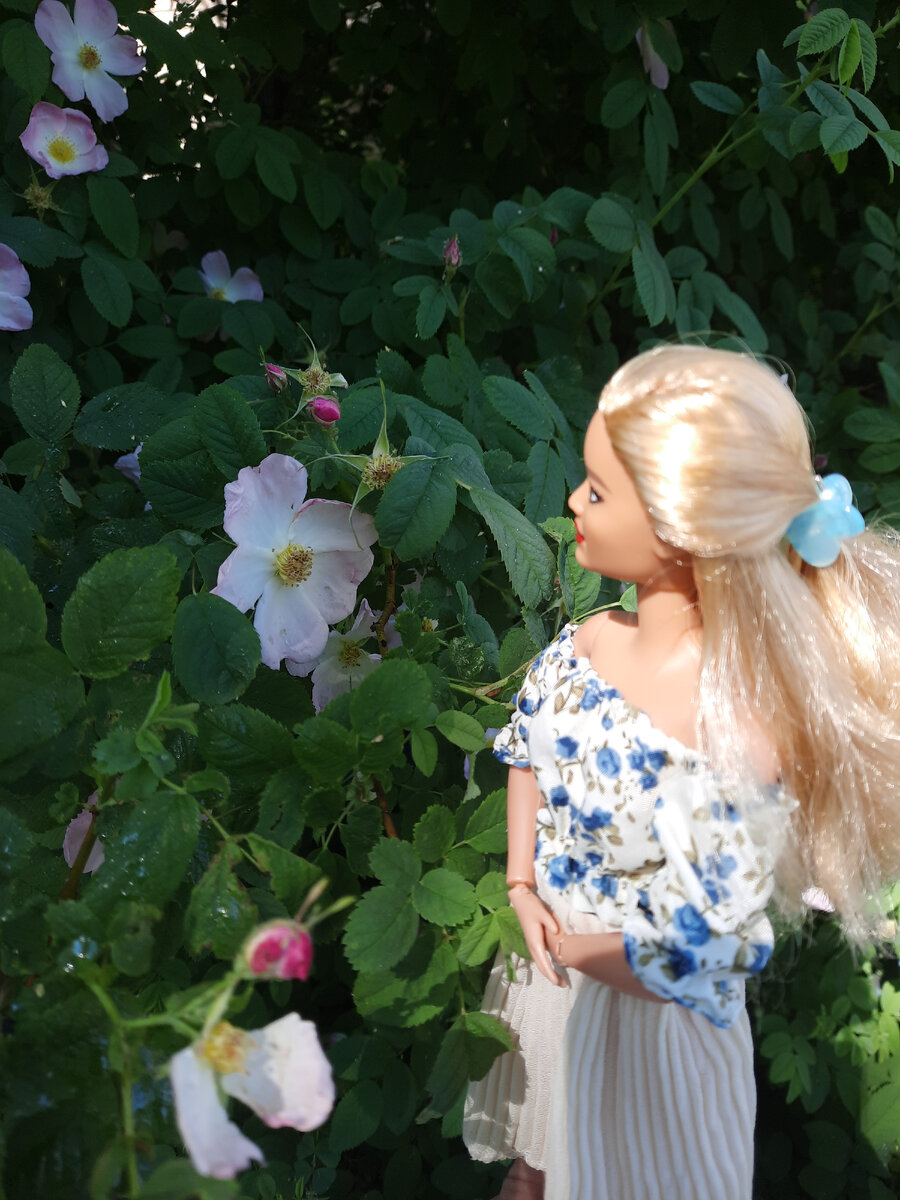 Катя ( кукла Барби Фешионастас #113) 