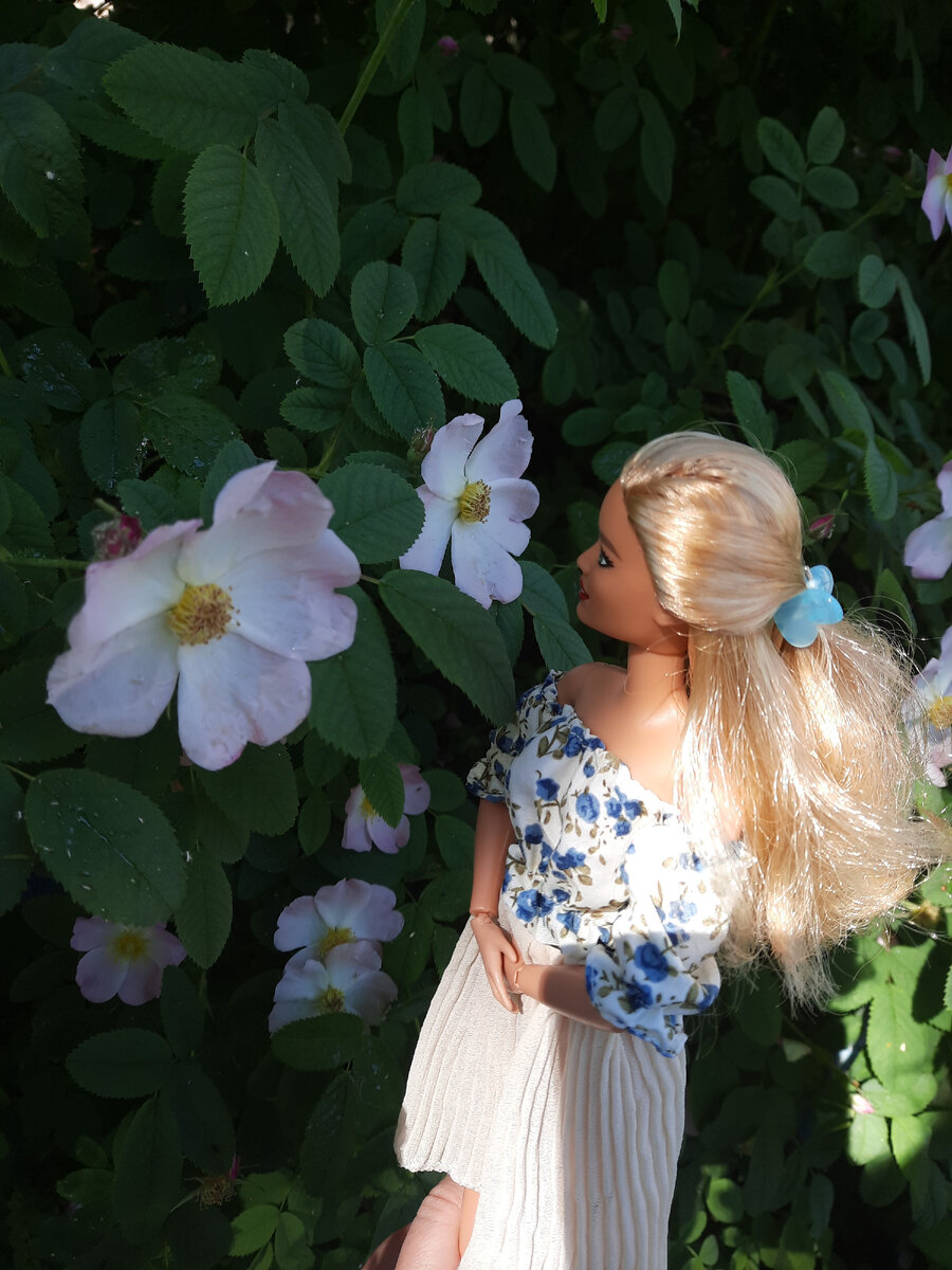 Катя ( кукла Барби Фешионастас #113) 