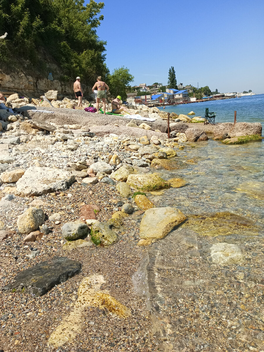 Заплыв