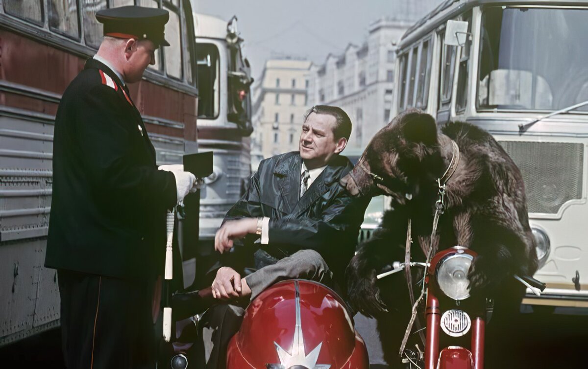 В цирке Валентина Филатова медведи не просто сами рулили: они брали мотоцикл, залезали на него, заводили, и только потом - ехали.