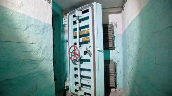    Иностранцам в России предложили дать право пользоваться убежищами Татьяна Сидорова