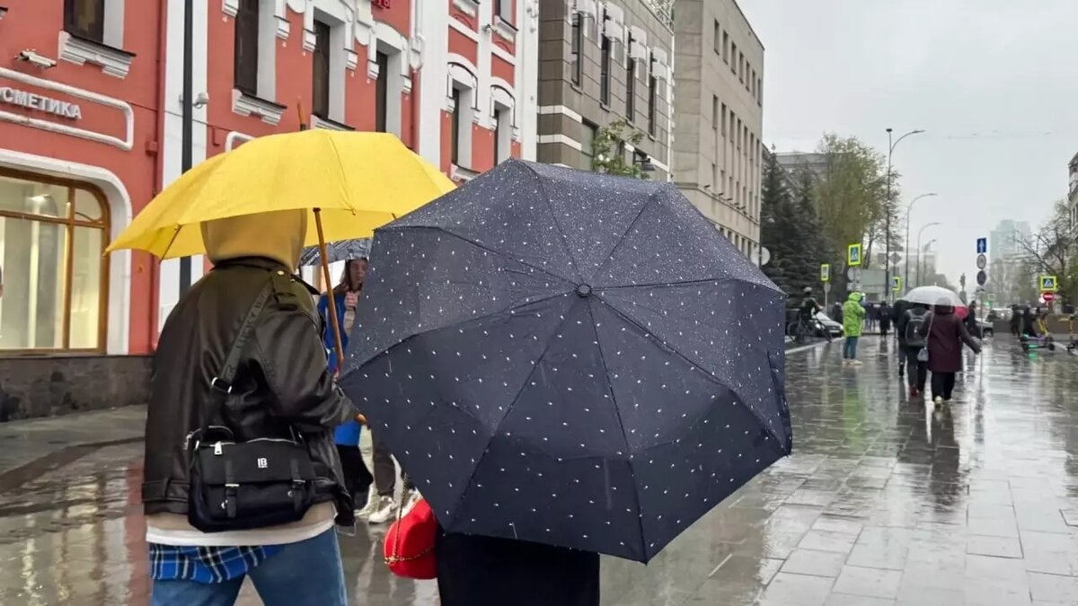     Источник: newsnn.ru