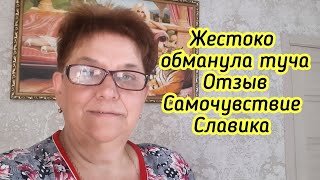 Жестоко обманула туча - Отзыв о щётке 2021