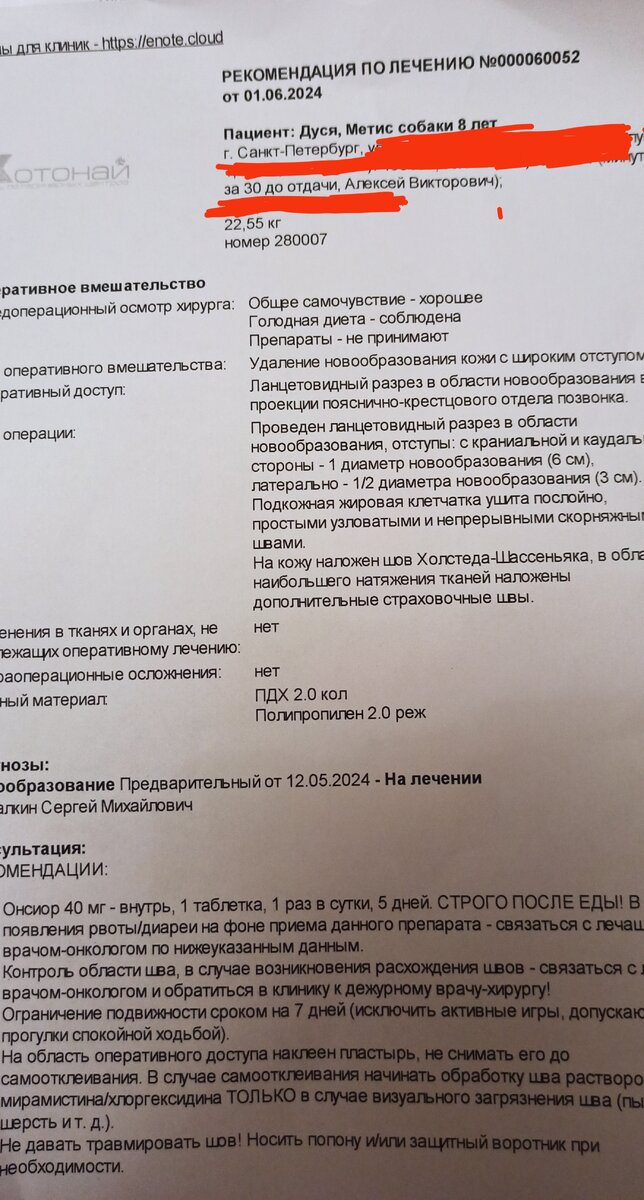 Наше медзаключение
